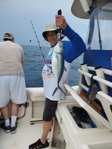 A Blue Runner fish in Fort Walton Beach 